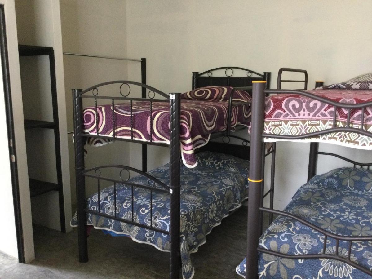 Trotamundo Oaxaca Hostel المظهر الخارجي الصورة