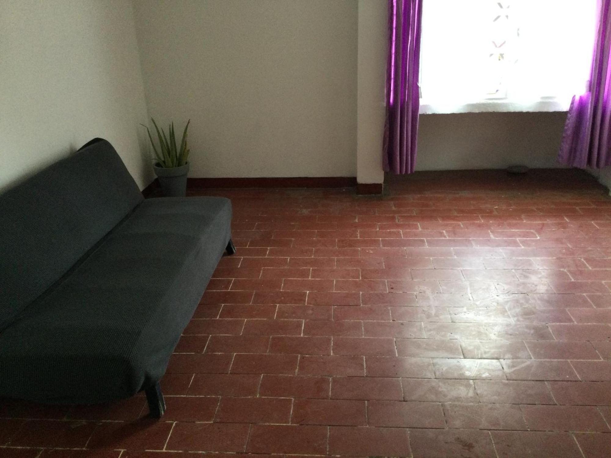 Trotamundo Oaxaca Hostel المظهر الخارجي الصورة
