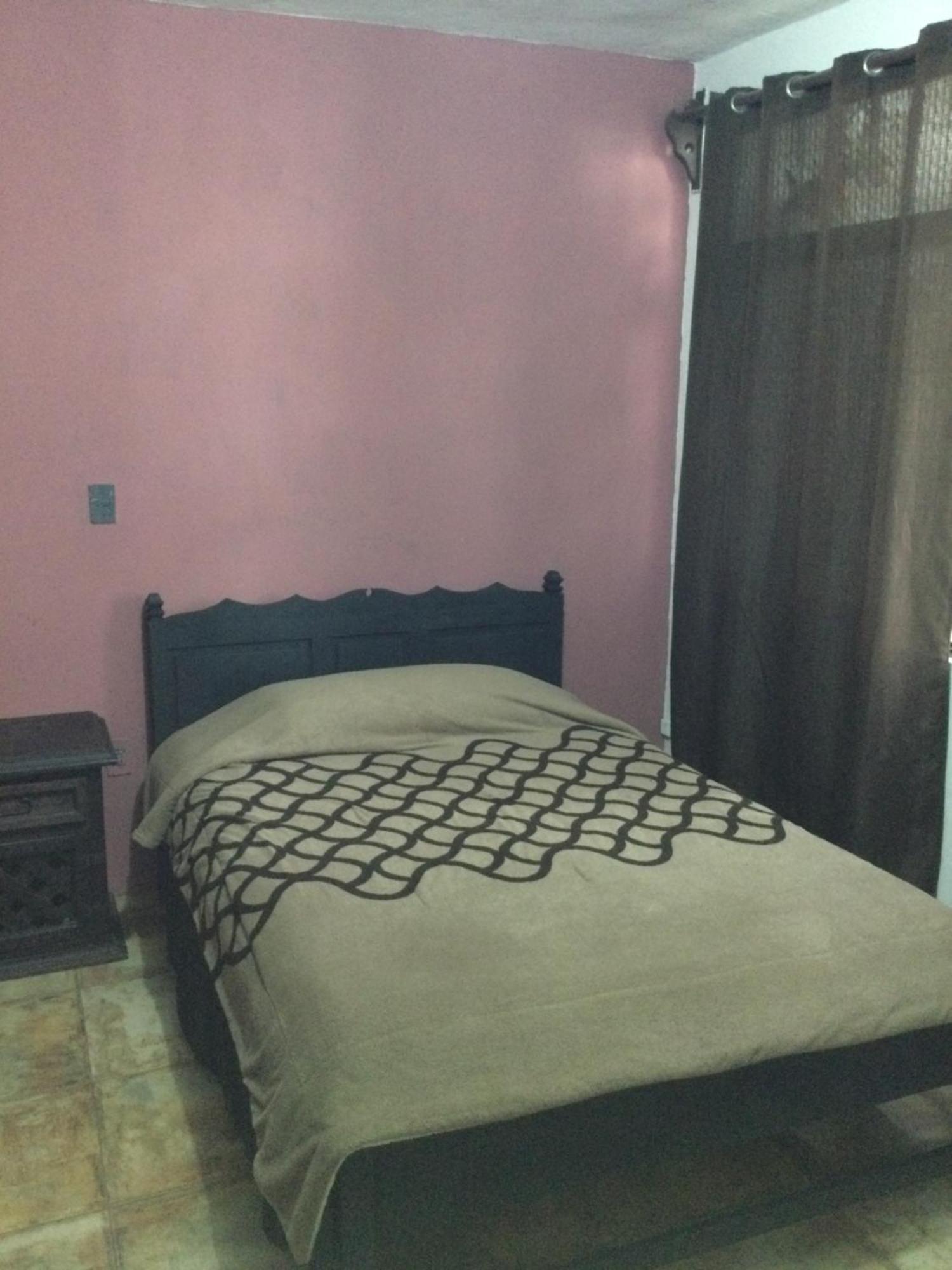Trotamundo Oaxaca Hostel المظهر الخارجي الصورة