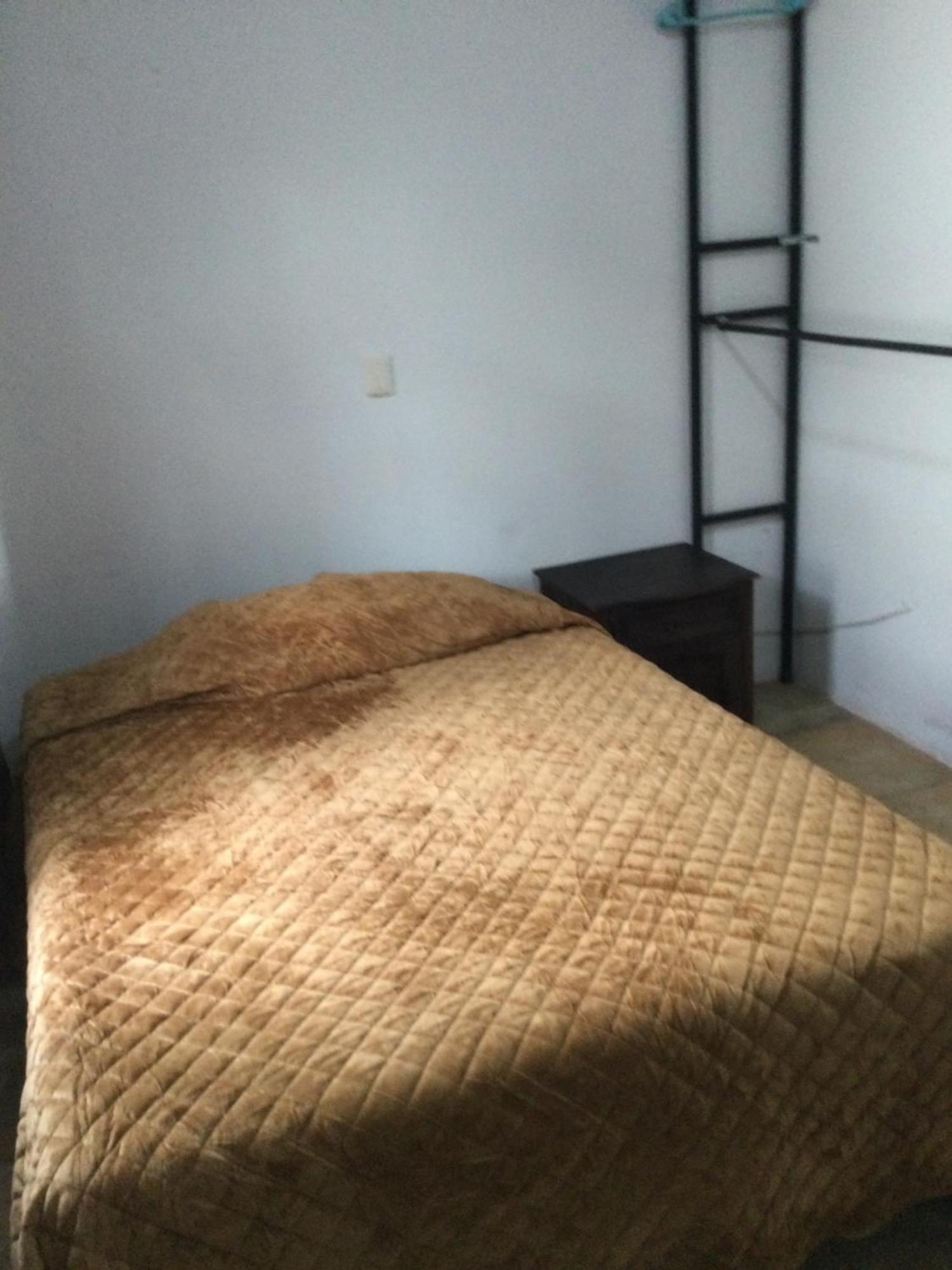 Trotamundo Oaxaca Hostel المظهر الخارجي الصورة